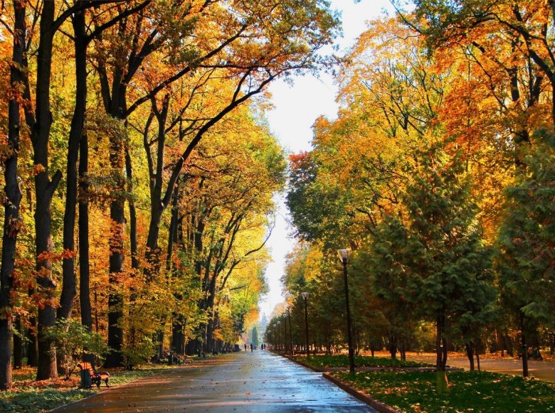 Tula Central Park named after P.P. Belousov is among the ten largest parks in Europe