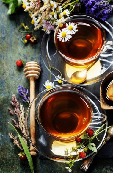Tea health and longevity of A. T. Bolotov