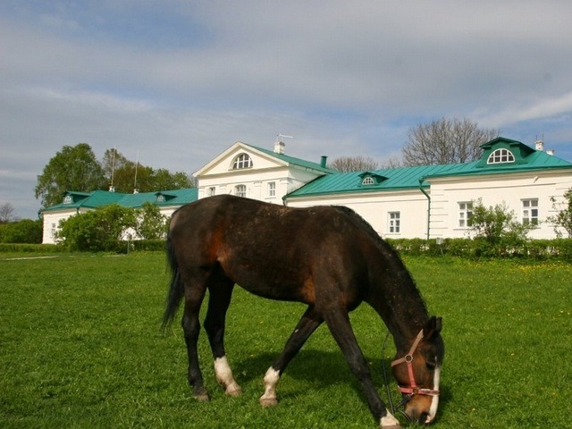 Yasnaya Polyana Equestrian Club фото 1