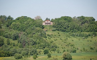 Mirkovich's estate