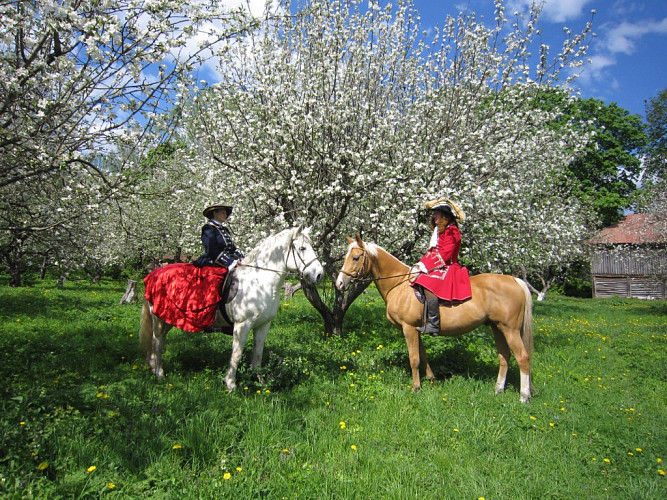 Yasnaya Polyana Equestrian Club фото 2