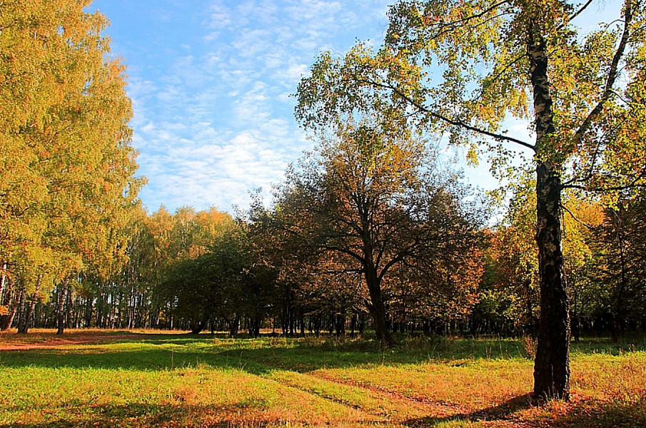 Proletarian Park in Tula фото 1