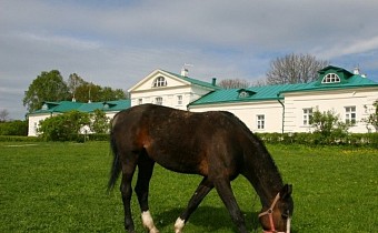 Yasnaya Polyana Equestrian Club