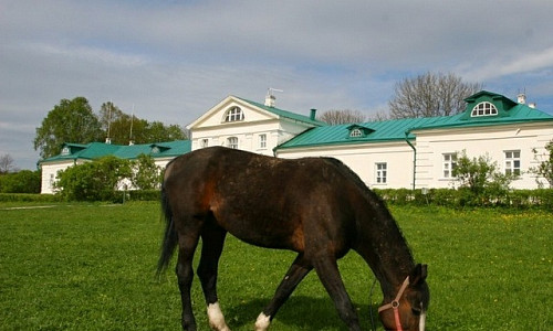 Yasnaya Polyana Equestrian Club фото