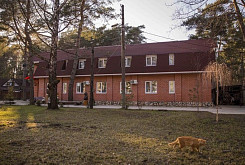 Sosnovy Bor (Pine Forest) Lodge фото 2
