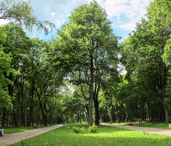 Rogozhinsky Park in Tula фото 2