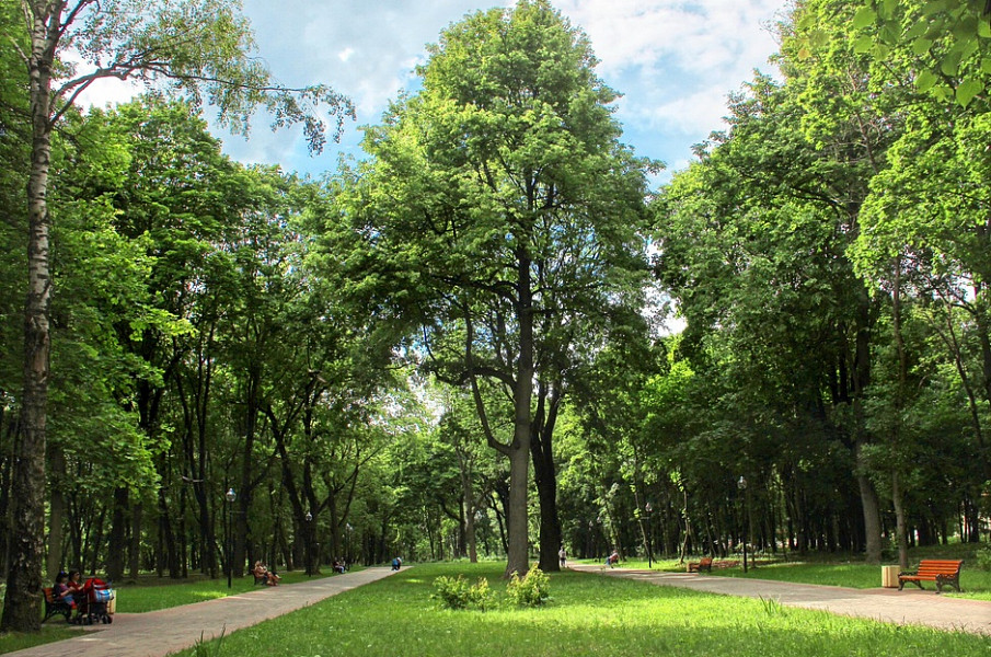 Rogozhinsky Park in Tula фото 2