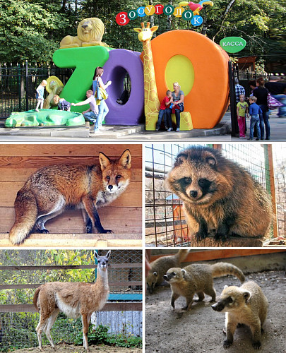 Mini-zoo in The Belousov park фото 1